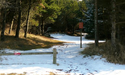 22 maart sneeuw in Nesserbos