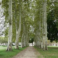 le parc/the park