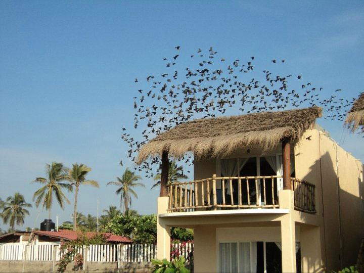 Hotel Canto del Mar azul image