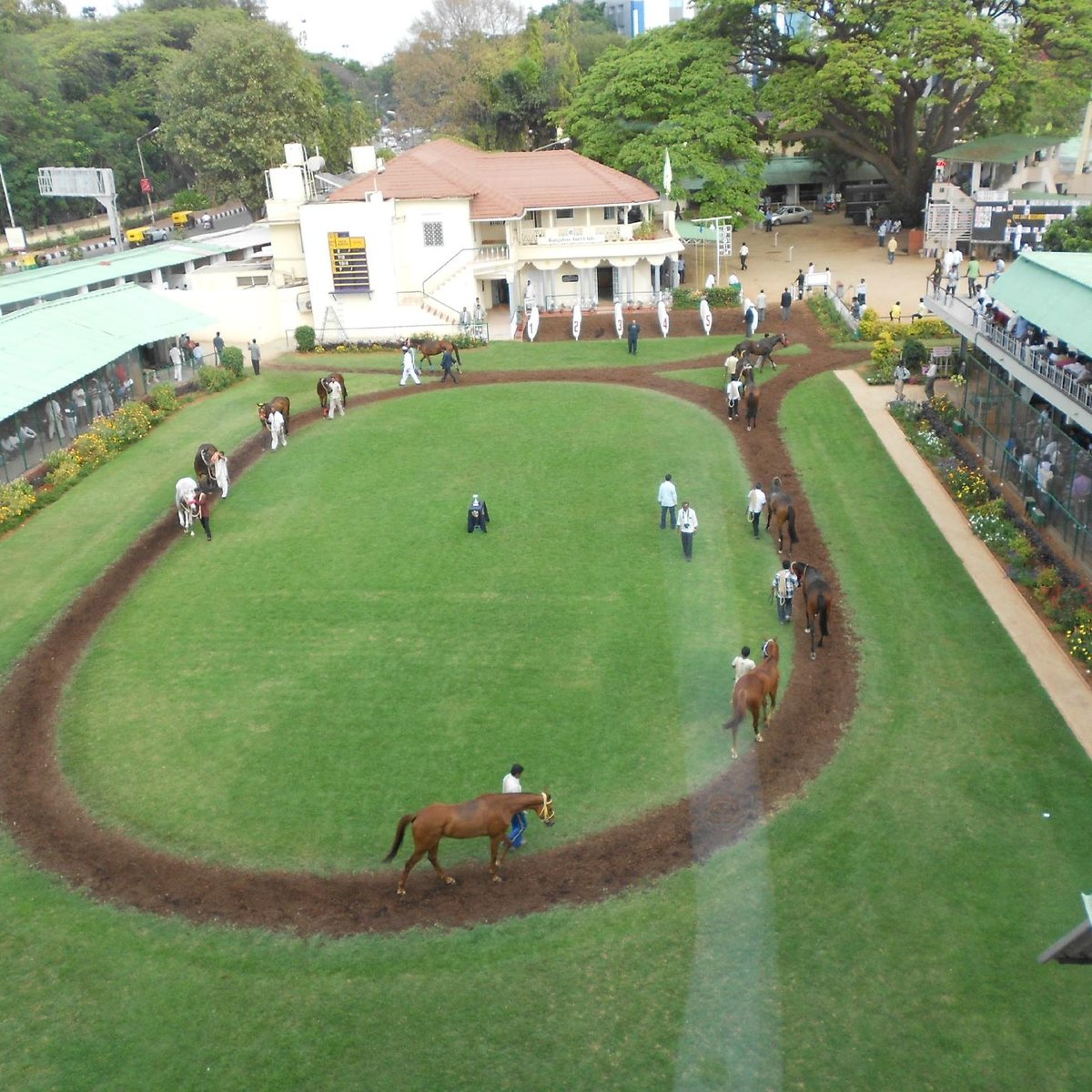 Bangalore Turf Club Race Course 2021 Lo que se debe saber antes de