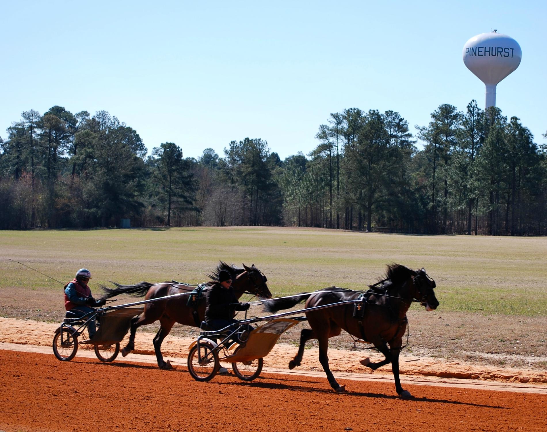 Pinehurst Harness Track - 2022 Alles Wat U Moet Weten VOORDAT Je Gaat ...