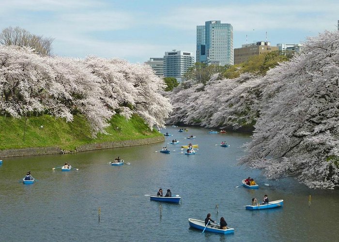 Chiyoda, Japan 2023: Best Places To Visit - Tripadvisor