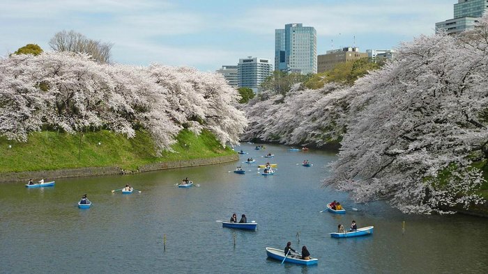 Imagen 1 de Chiyoda Inn Guest House