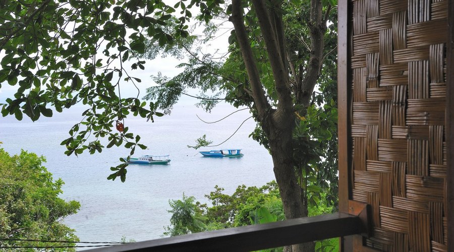 View from hillside verandah