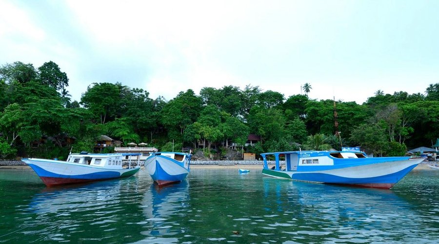 Froggies Dive Boats