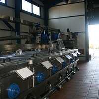 Aristeon4