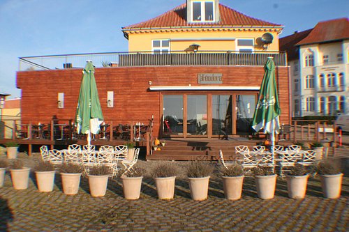 CaFeodora CaFeodora