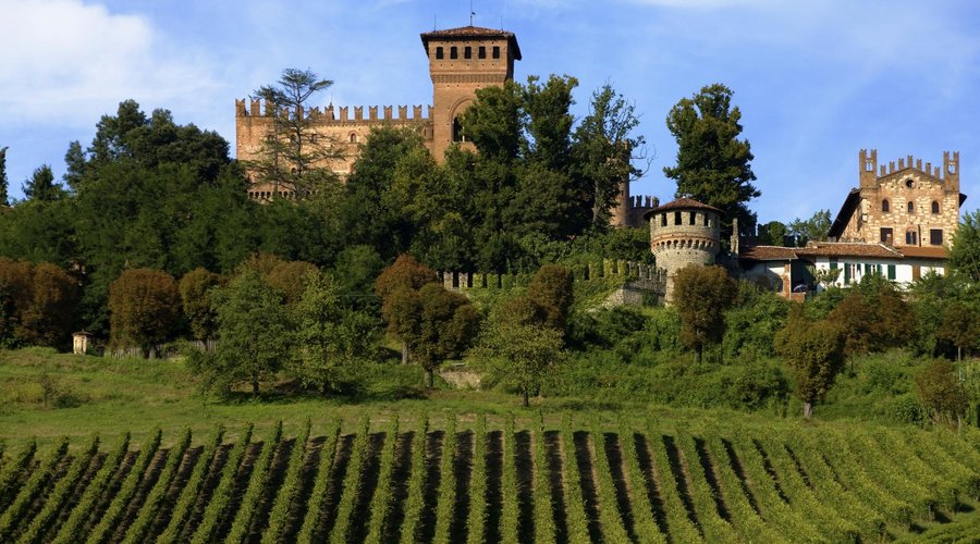 Il castello e i suoi vigneti