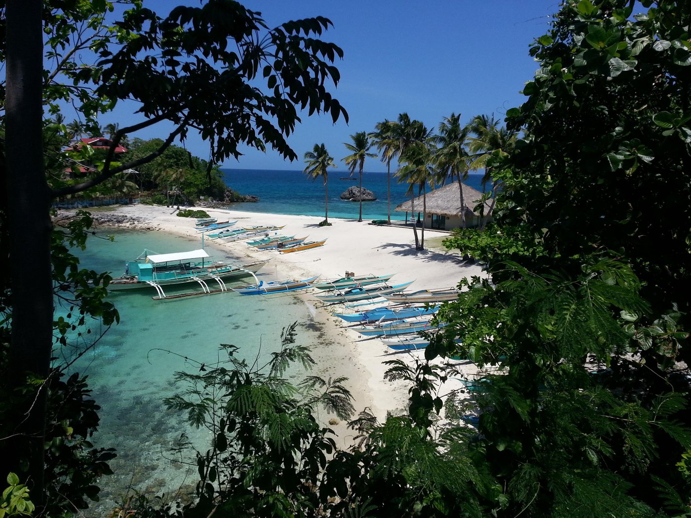 GEORGIA'S NEVERLAND HOSTEL (Malapascua Island, Filipinas) - Opiniones y ...