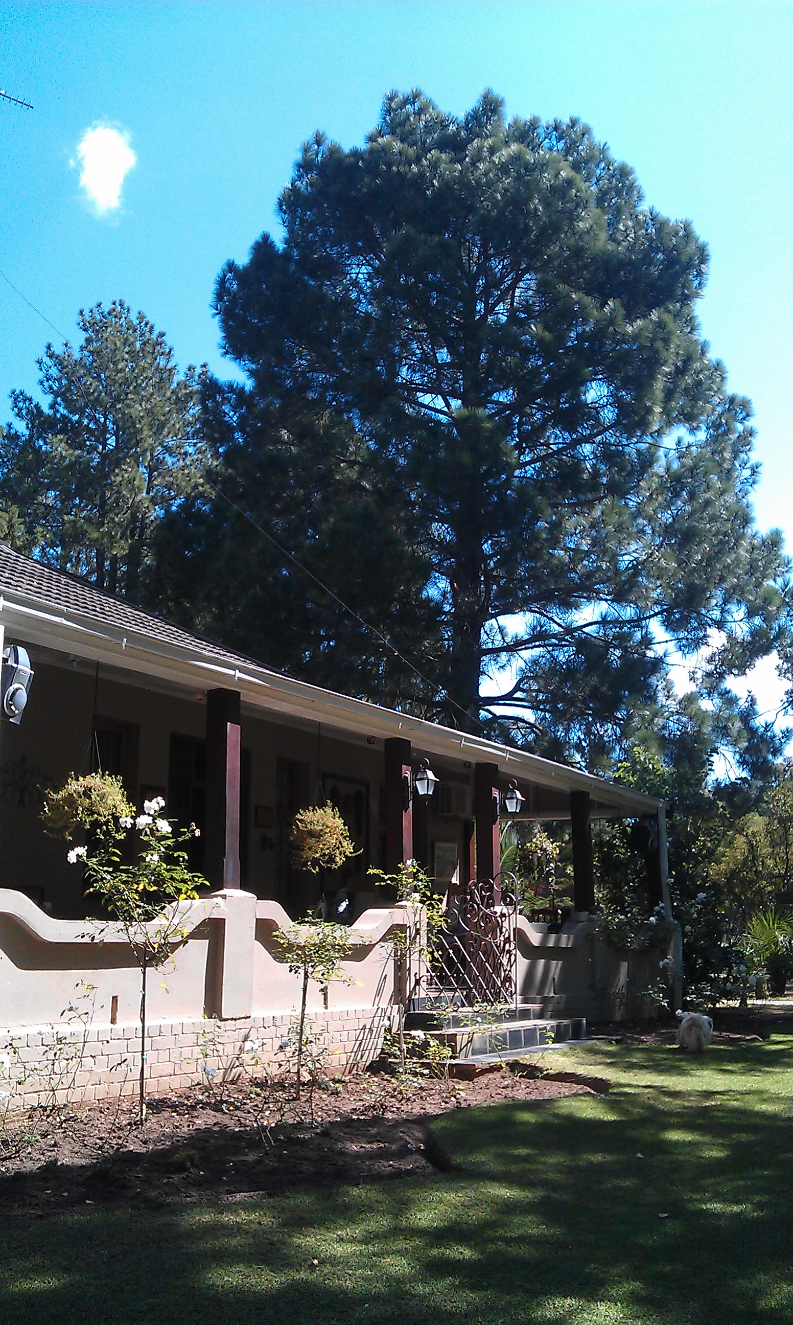 Hotel photo 2 of Farmhouse Lodge.