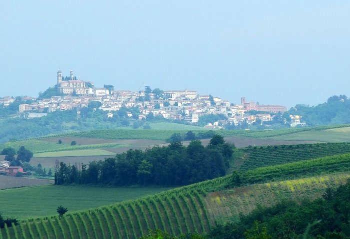 Panorama dale colline
