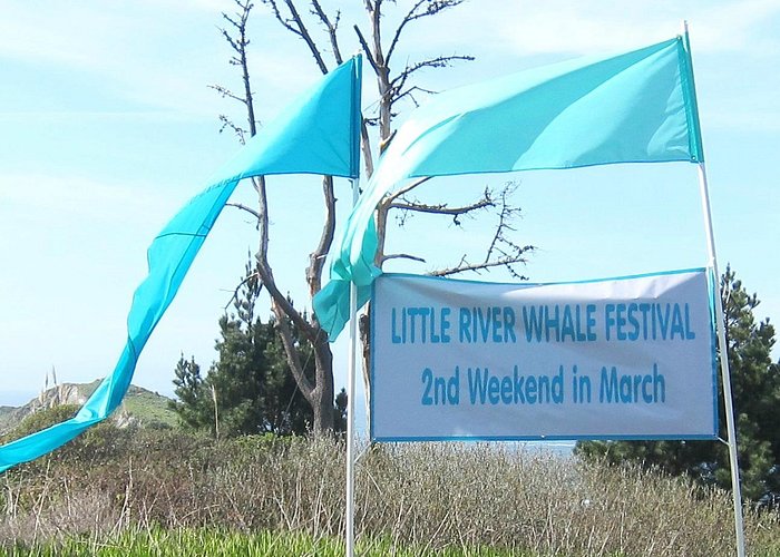 Little River Whale Festival: Second Weekend in March