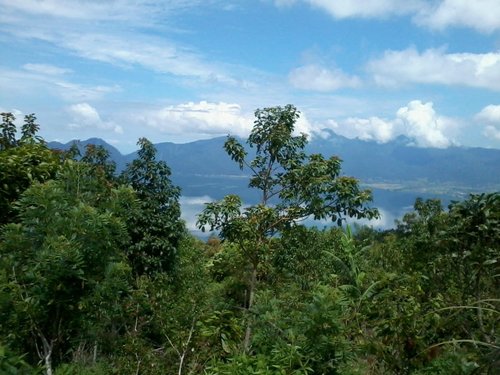 Sumatra christong8 review images