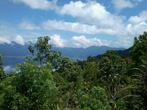 Sumatra christong8 review images
