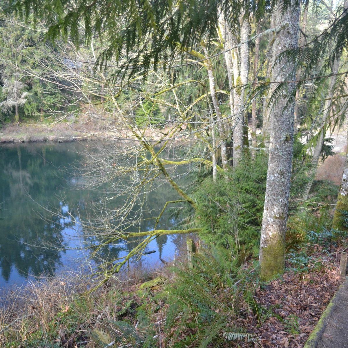 Boeing Creek Park - All You Need to Know BEFORE You Go (2025)