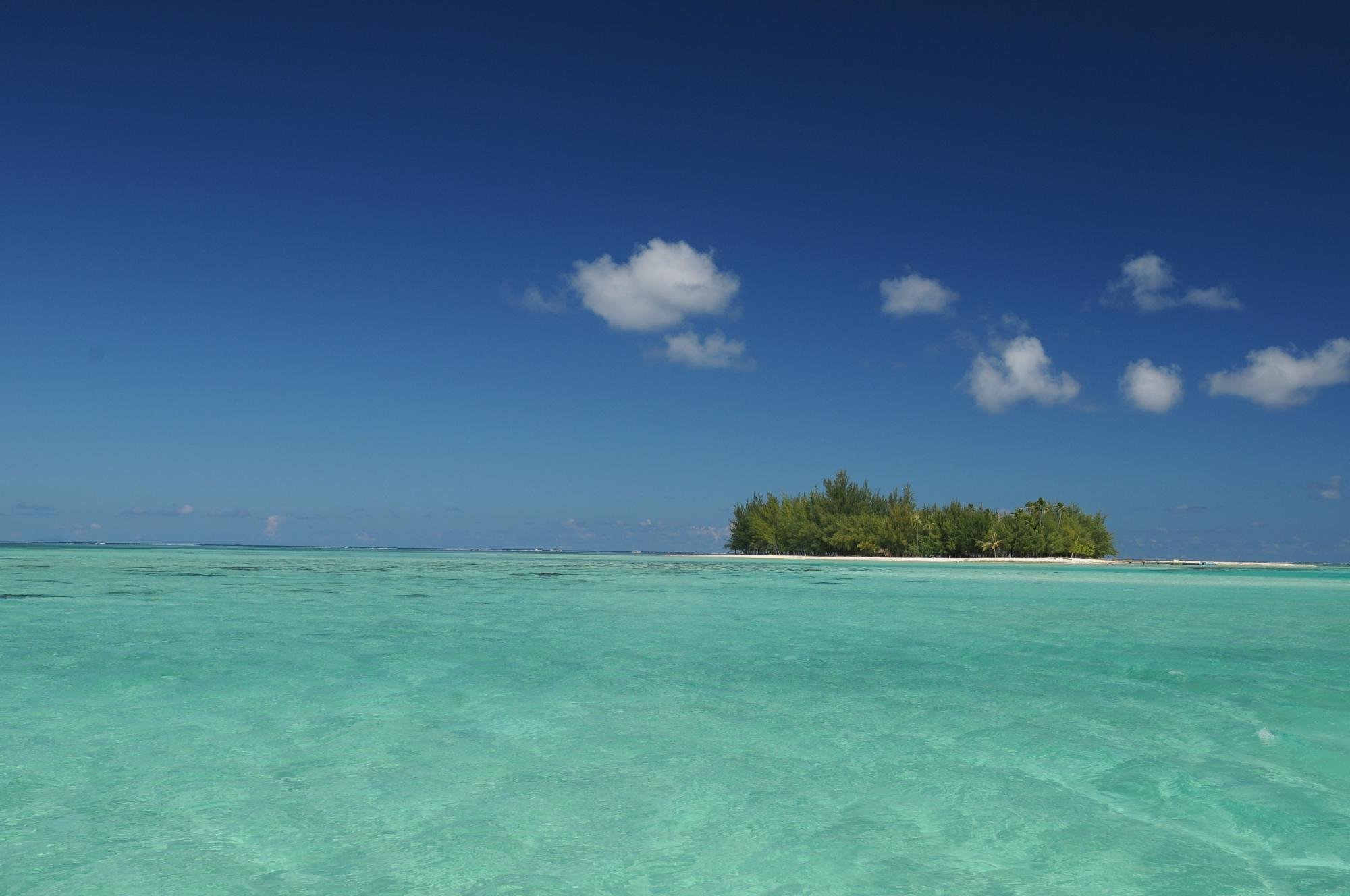 Bora Bora Photo Lagoon - All You Need to Know BEFORE You Go (2024)