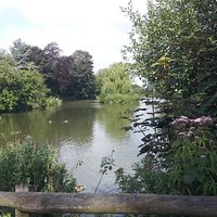 Jubilee Lake, Royal Wootton Bassett