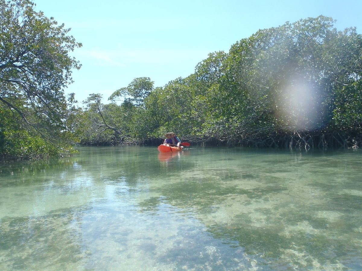 KAYAK KINGS OF KEY WEST All You Need to Know BEFORE You Go