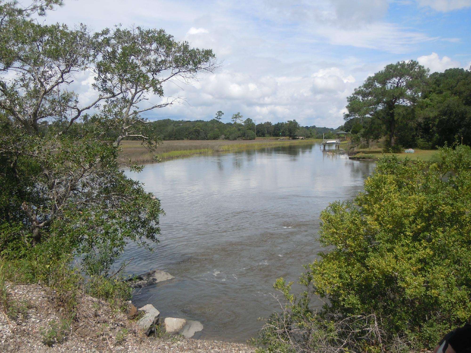 West Ashley Greenway All You Need to Know BEFORE You Go 2024