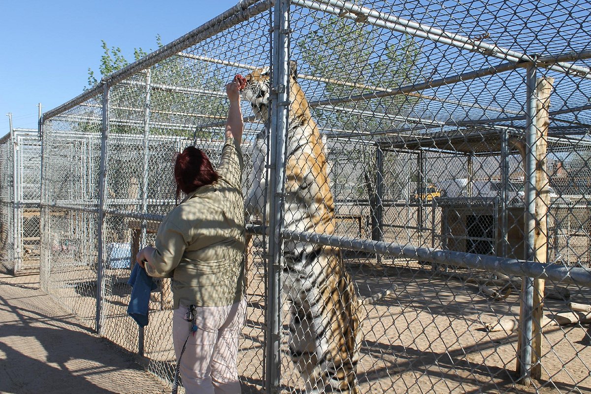 hesperia-zoo-all-you-need-to-know-before-you-go-with-photos