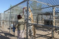 Hesperia Zoo Weather