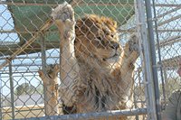 Hesperia Zoo Weather