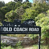 Horopito end of Old Coach Road cycle track