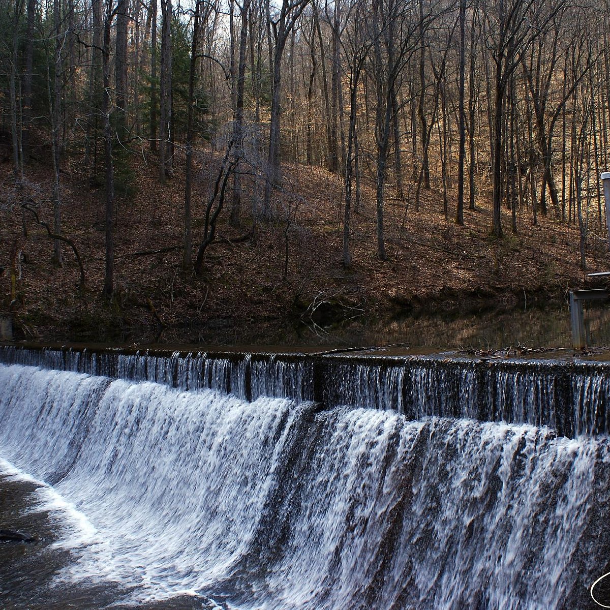 KANAWHA STATE FOREST (Charleston): Ce qu #39 il faut savoir pour votre KANAWHA STATE FOREST (Charleston): Ce qu #39 il faut savoir pour votre