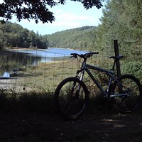 Llyn Y Parc