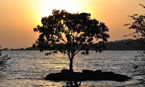 Sundawn at Ngamba