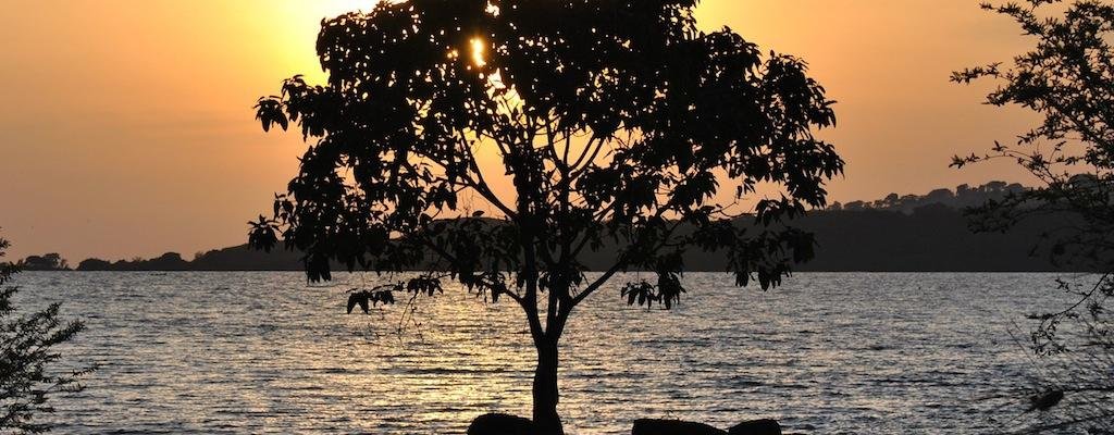 Sundawn at Ngamba