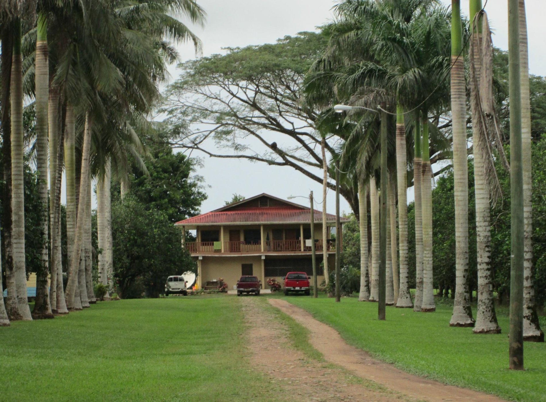 place image