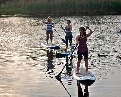 The 5 Best Rhode Island Stand Up Paddleboarding With Photos Tripadvisor