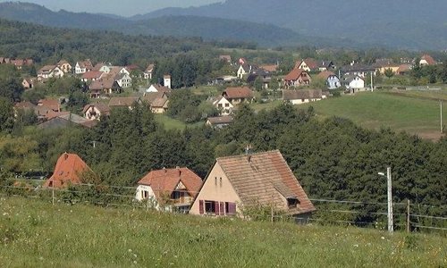Vue de la Forêt