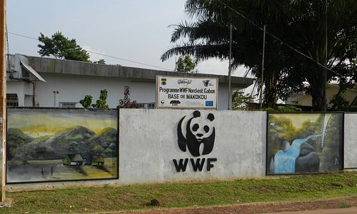 WWF Makokou office