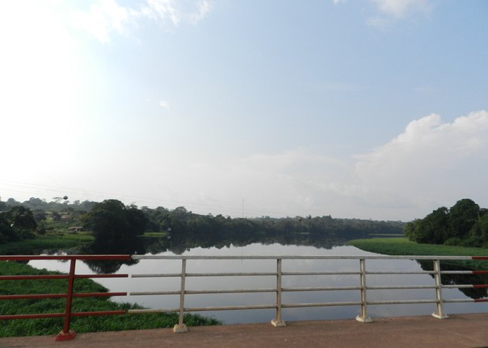 Ivindo River