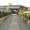 Things To Do in Jinguji Temple - Niu Taishi, Restaurants in Jinguji Temple - Niu Taishi