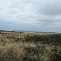 The ruined nine maidens circle