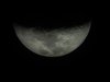Liarmoon