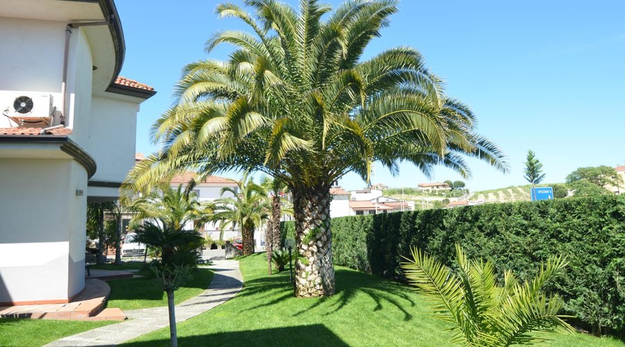 Giardino