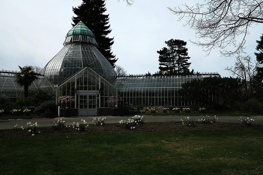 W.W. Seymour Botanical Conservatory image
