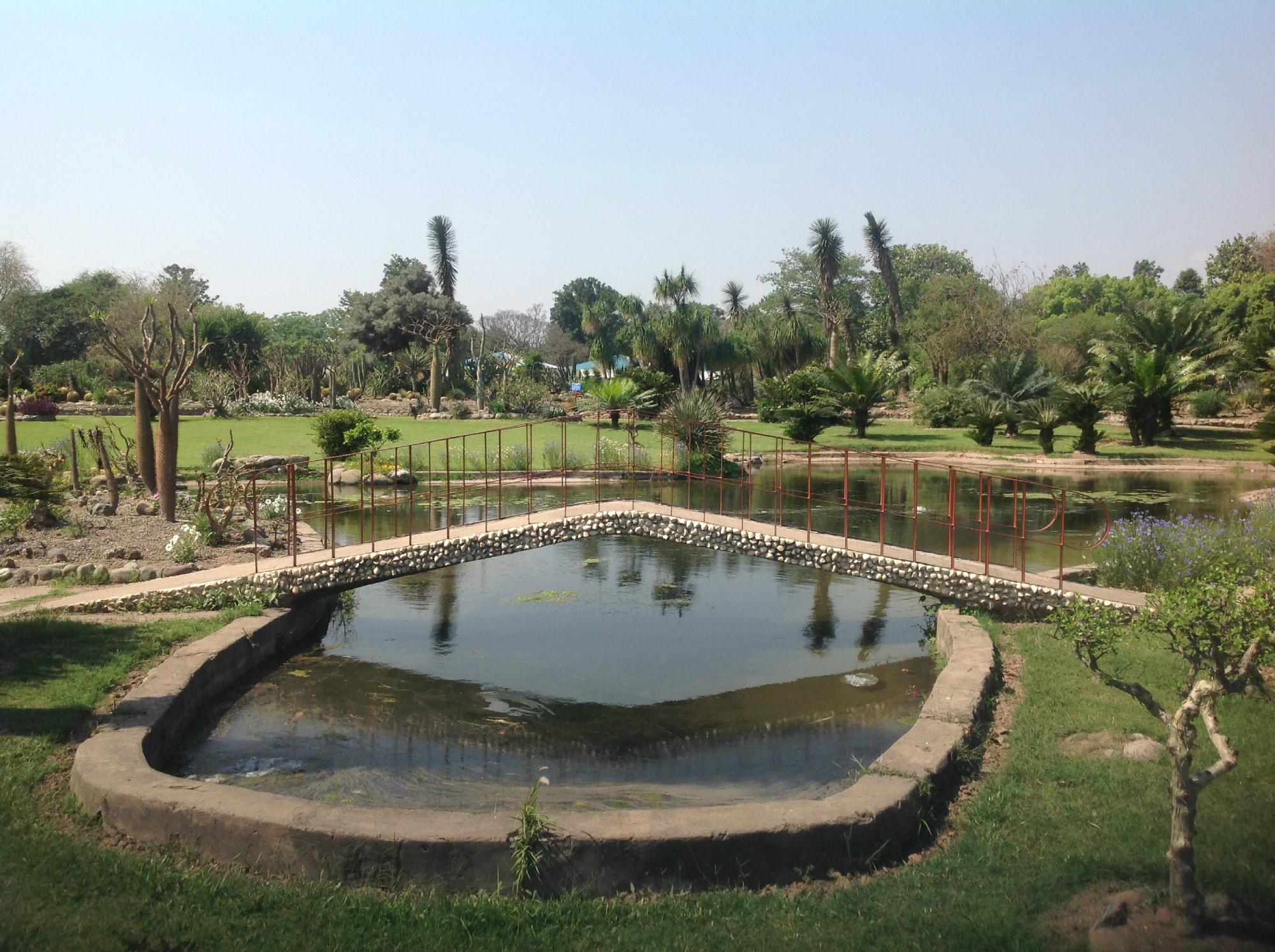 Sarkaria Cactus Garden (Panchkula) - 2022 Alles Wat U Moet Weten ...