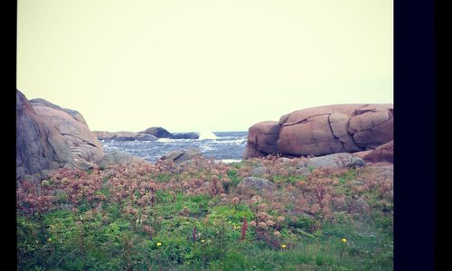Larvik at Sør i Omane