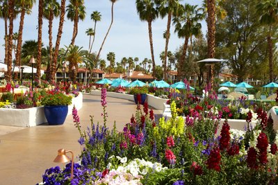 Hotel photo 4 of Omni Rancho Las Palmas Resort & Spa.