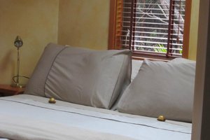 Room & Suite