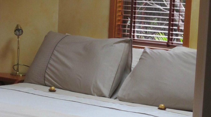 guest bed