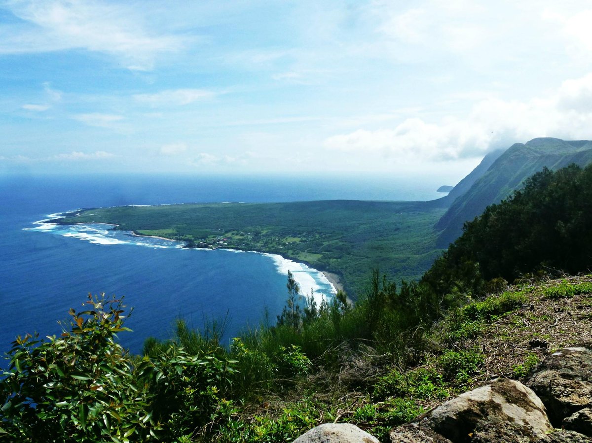 Escape to Paradise: Your Guide to Palaʻau State Park