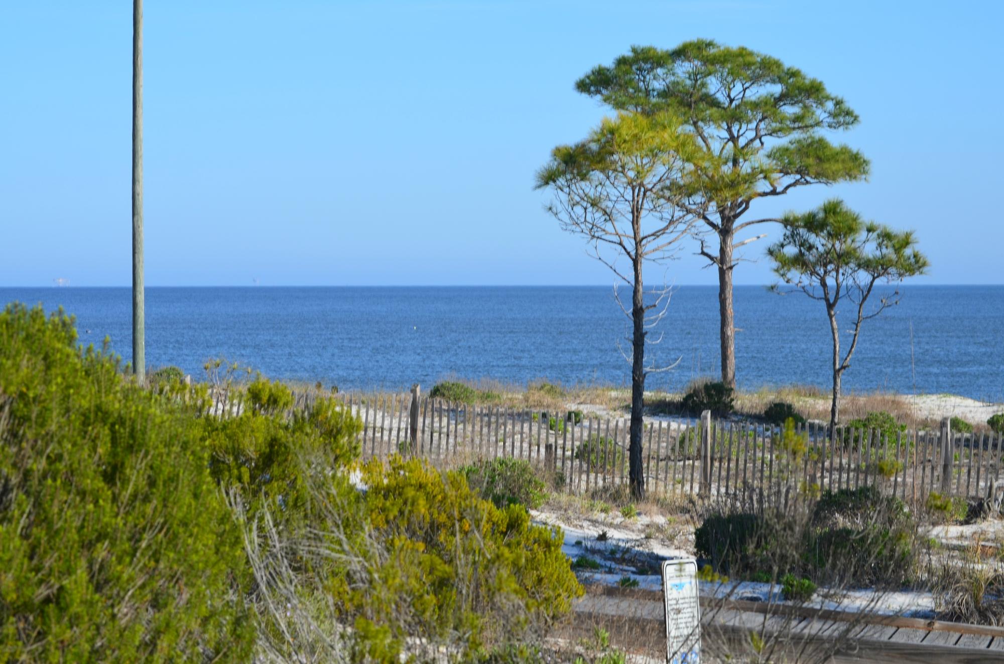 Dauphin Island All You Need to Know Before You Go 2024