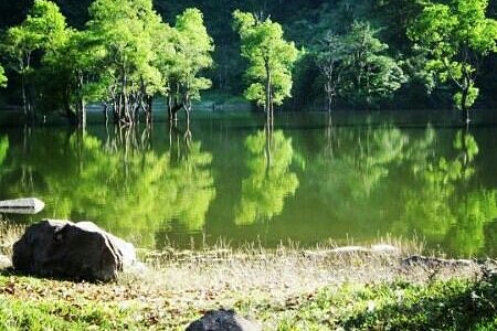 still lake water will greet you at the Balinsasayao Twin Lake Sibulan Negros Occidental..just a 
