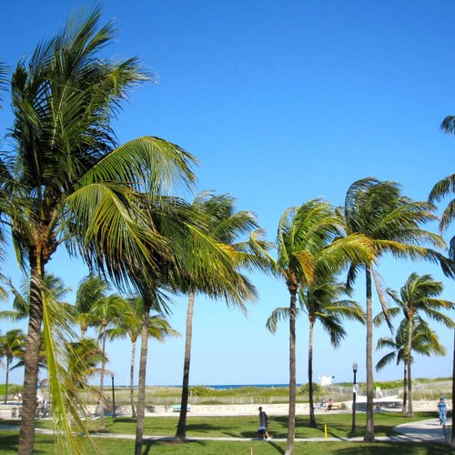 Lummus Park Beach (Miami Beach, FL) - anmeldelser